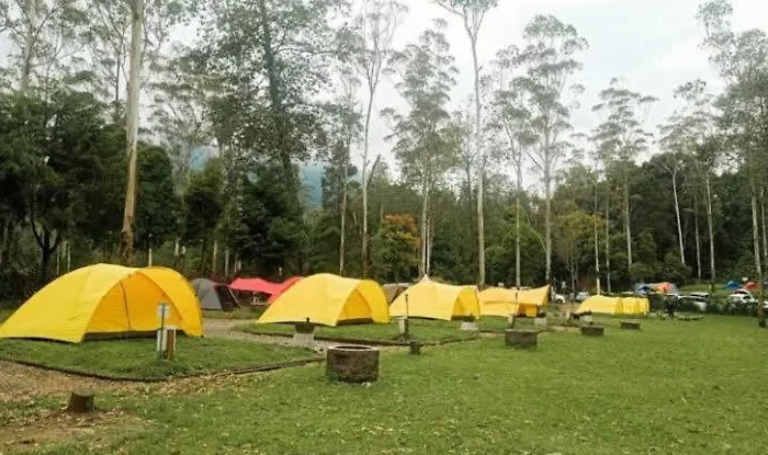 Wong Deso Camping